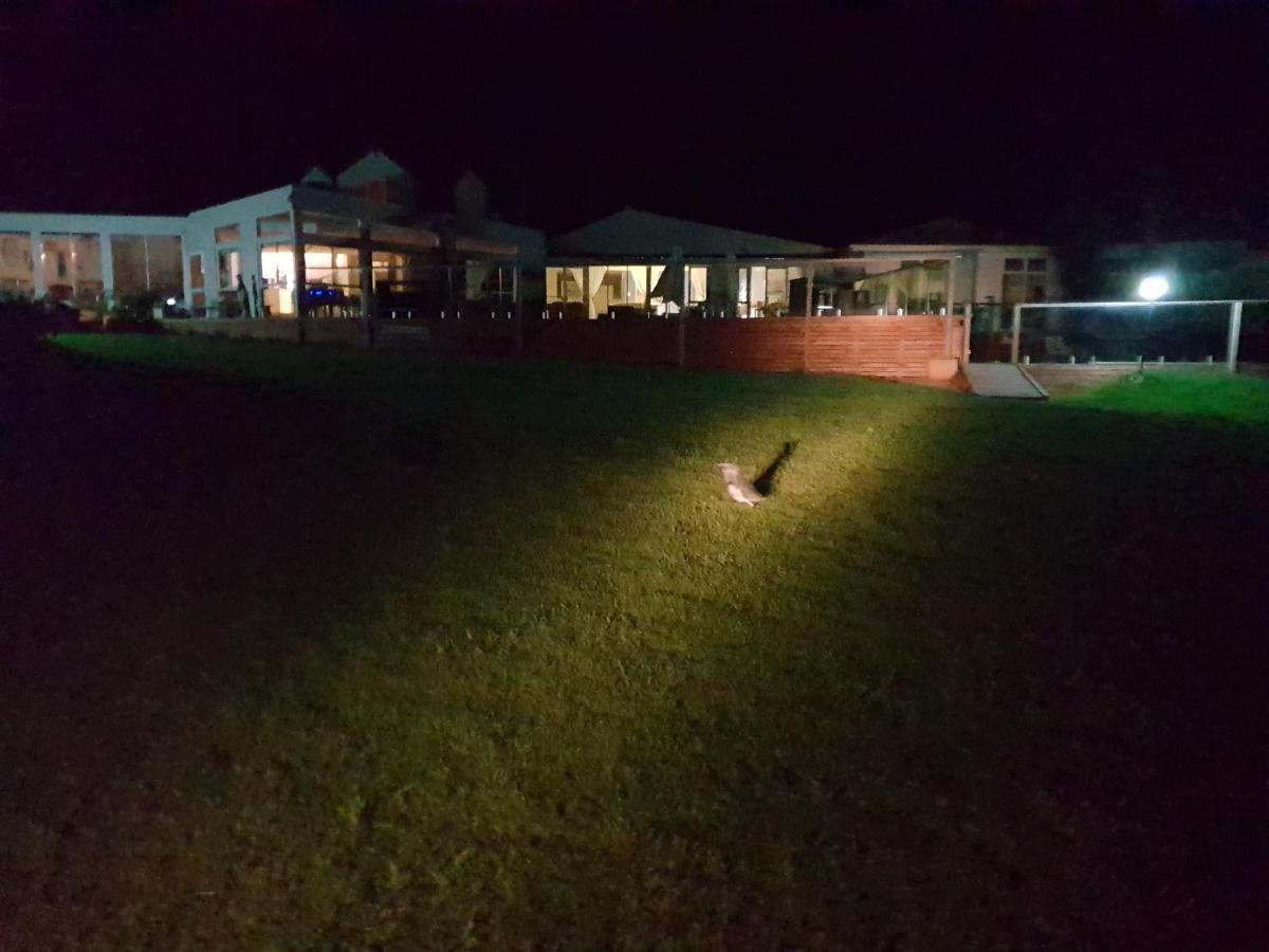 Diamond Island Resort, Restaurant & Bar And Penguin Show 4* Bicheno
